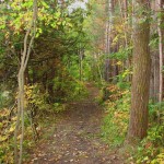 YURA_2596_Humber_Trails